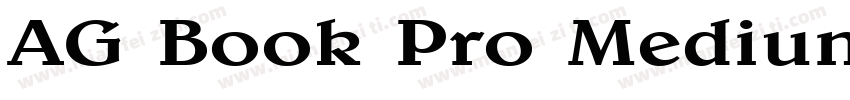 AG Book Pro Medium字体转换